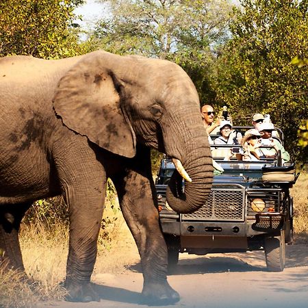 Karongwe River Lodge Karongwe Game Reserve Екстериор снимка