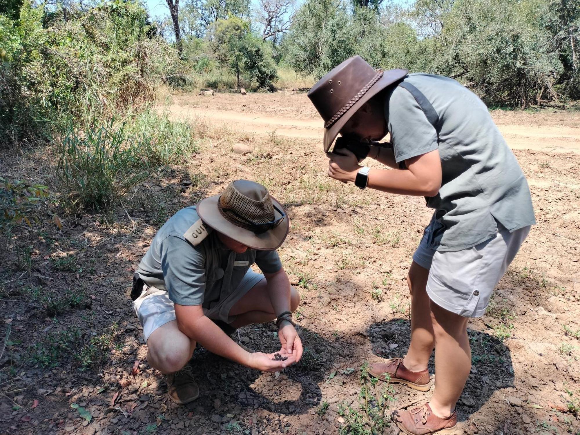 Karongwe River Lodge Karongwe Game Reserve Екстериор снимка
